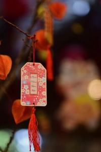 xì dách di động Nohu
